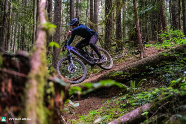 Forbidden Druid Core Test E MTB WEB 0245 1 600x400
